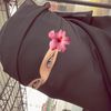purdahcomot_