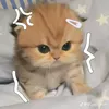 _h.khanq07