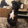 bellathechug01