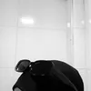 حَوراءِ🍄