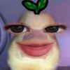 kkjidaa