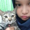 rehaechan