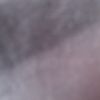 sied21