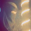 farhanaakter731