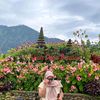chachamery_21