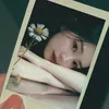 pineapple_3261