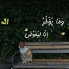 1ilwi