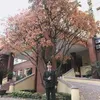luongvu46