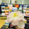 huynguyen1104200
