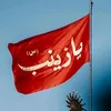 www.tiktok.hseen