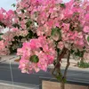 325747_cuong