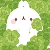 antonino_cinnamoroll