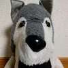shironokugni