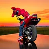 bugsbike