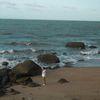 t.nzhan01