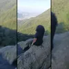 apaulafausttino