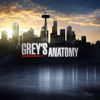 greys anatomy🤍