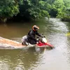 vietnam-motorbikes