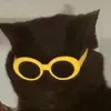 ne_p00nel