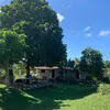 sitio_meusossego