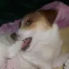 _krszb