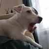 je_c.tiktok