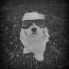 tenny_42