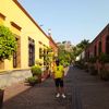 franciscosaavedr6