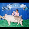kyle_lewis_pigs18