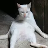 enoughffofc