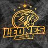 bb_tigre