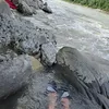 jawadqambarian