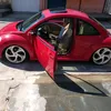 jorginhobeetle