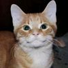 its.me.wency