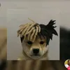 wevert.on.n