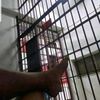 pooztha58