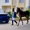 ahmed.elnihom