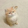 thuyy_huoqn