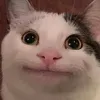 francsrgn