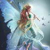 11fairywings