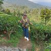 idacipung15_