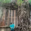 cimolll080