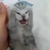 nahgggghg