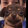 petegonzales3