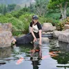 thamnguyen923