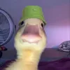 rosiecheesecakee