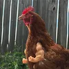 f25435