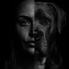blaze_presa_canario