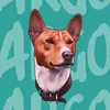 argothebasenji