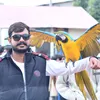 janmehar3767